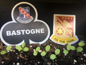 101st airborne air assault 1st bridage Bastogne and 426 BSB Taskmasters logo near new plants