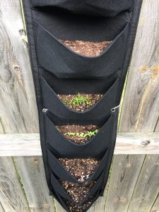 hanging fabric gardening container