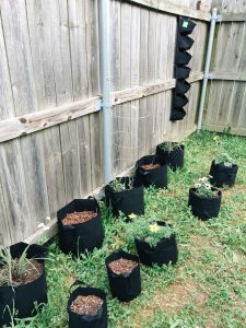 Container gardening for military housing